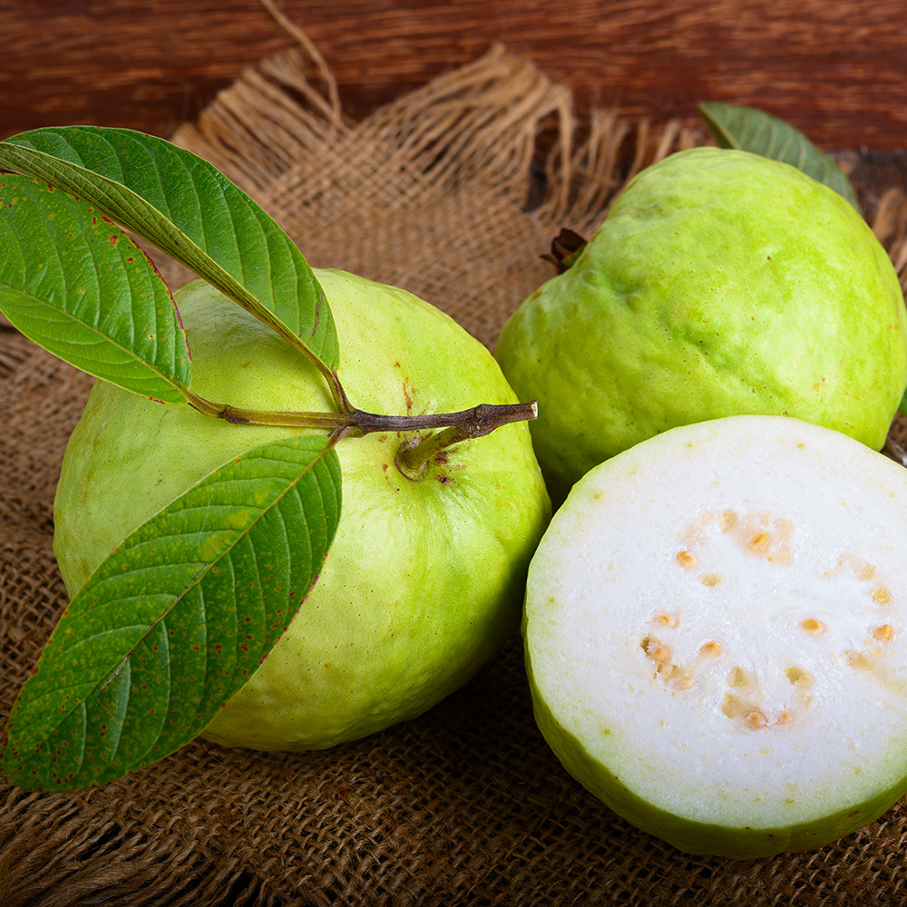 구아바 추출물